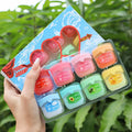 Moisturizing Lip Balm Set 6-Pack Natural Plant Formula Anti-Cracking Hydrating Lip Care