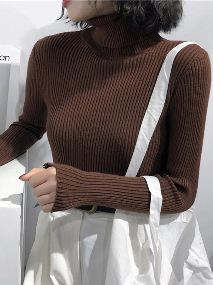 Slim Turtleneck Sweater — Soft Knit Pullover for Women, Fall & Winter